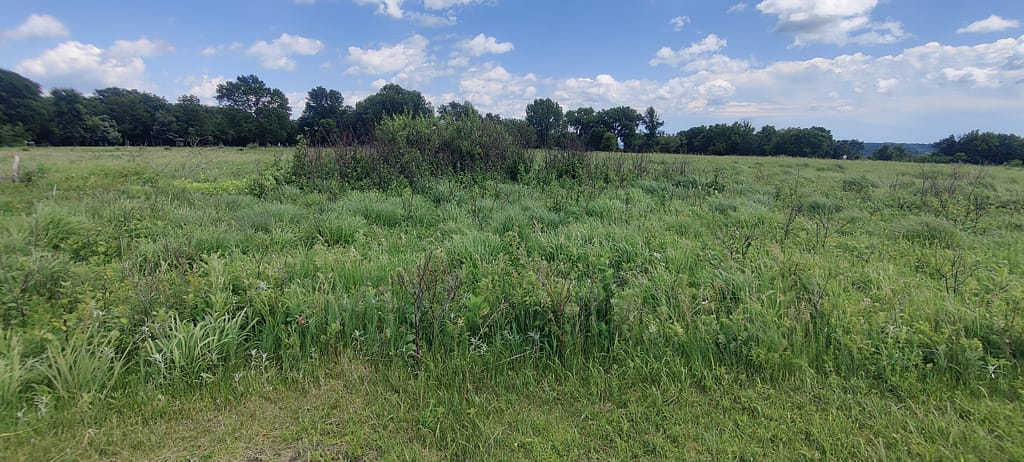 Officers' latrines at Fort Ridgely in Fort Ridgely State Park in Fairfax, MN