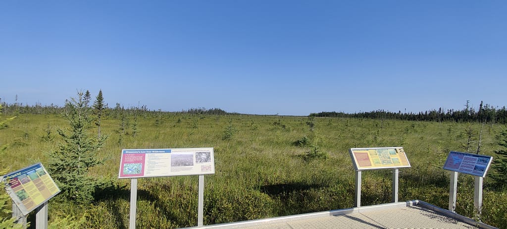 Informational signs at the end of the boardwalk at Big Bog SRA in Waskish, MN