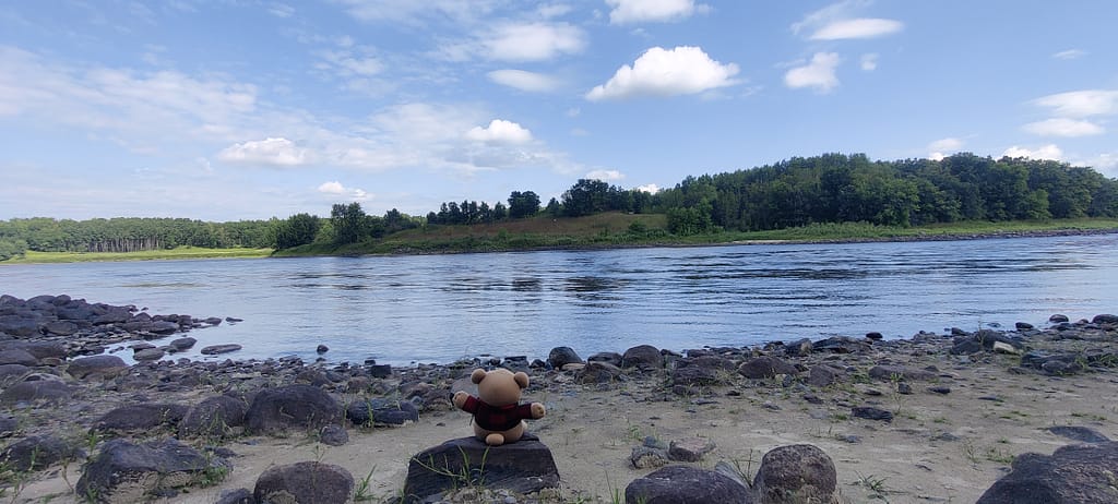 Cardybear looking at Canada from the beach at Franz Jevne State Park in Birchdale, MN
