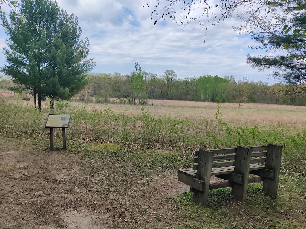 Bench overlooking the meadow at Charles A. Lindbergh State Park in Little Falls, MN
