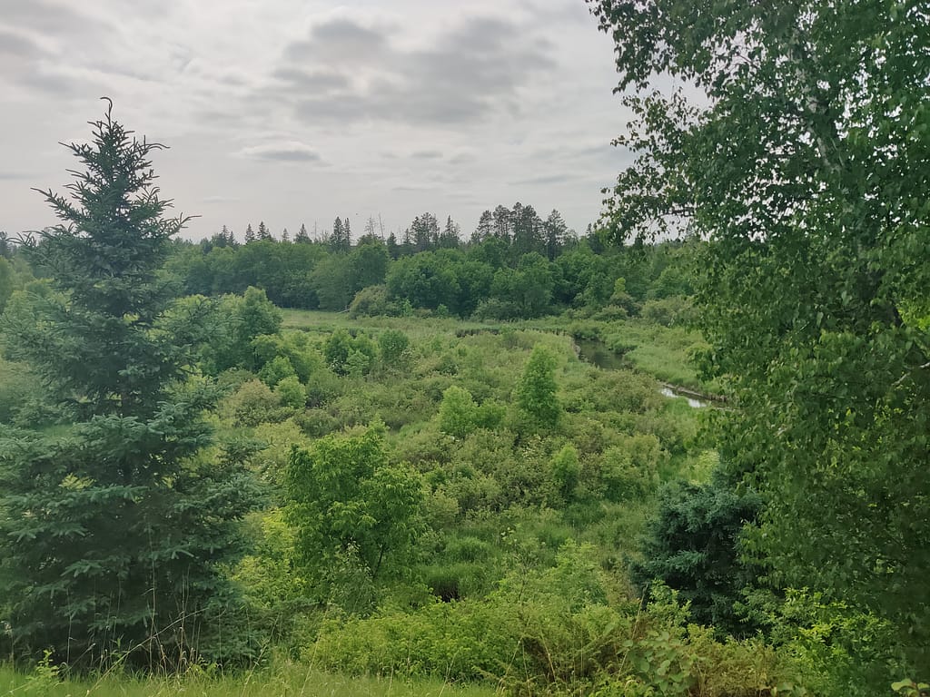 Overlook on the River Overlook Trail at La Salle State Recreation Area in Solway, MN