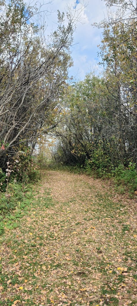 Nature trail portion of the Zippel Bay Costal Path at Zippel Bay State Park