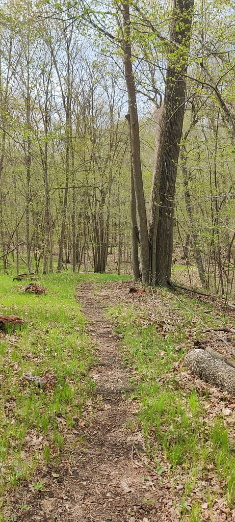 Woodland Nature Loop at Maplewood State Park in Pelican Rapids, MN
