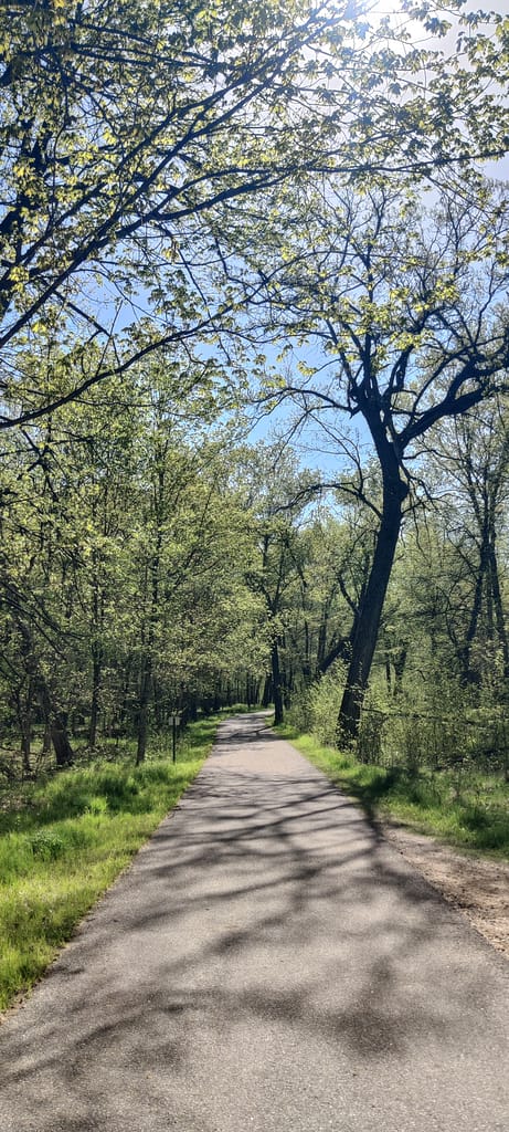 Paved portion of the Lake Emma Loop at Glendalough State Park in Battle Lake, MN