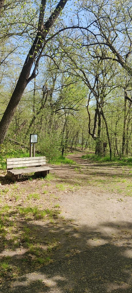 Trail head with a bench on the Lake Emma Loop at Glendalough State Park in Battle Lake, MN