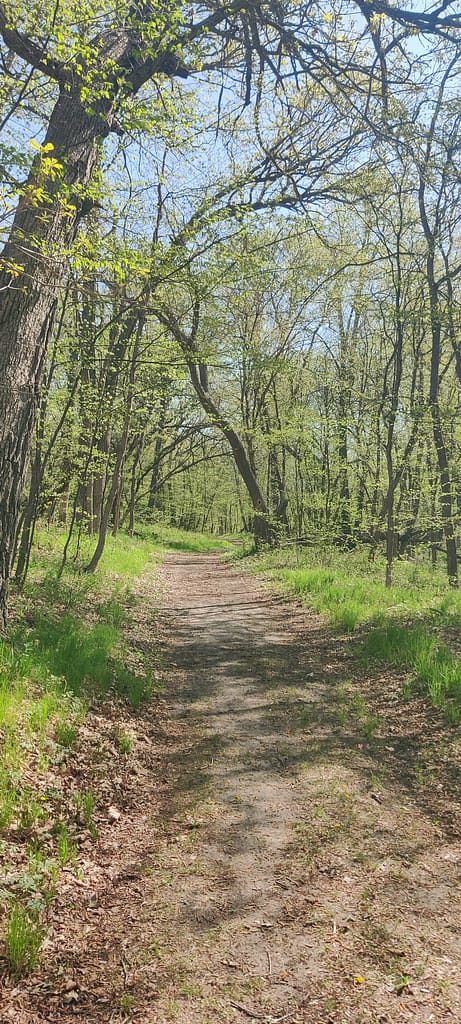 Dirt nature trail portion of the Lame Emma Loop at Glendalough State Park in Battle Lake, MN