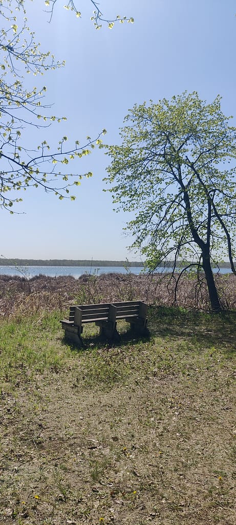 Bench at the observation point of the Lake Emma Loop at Glendalough State Park in Battle Lake, MN