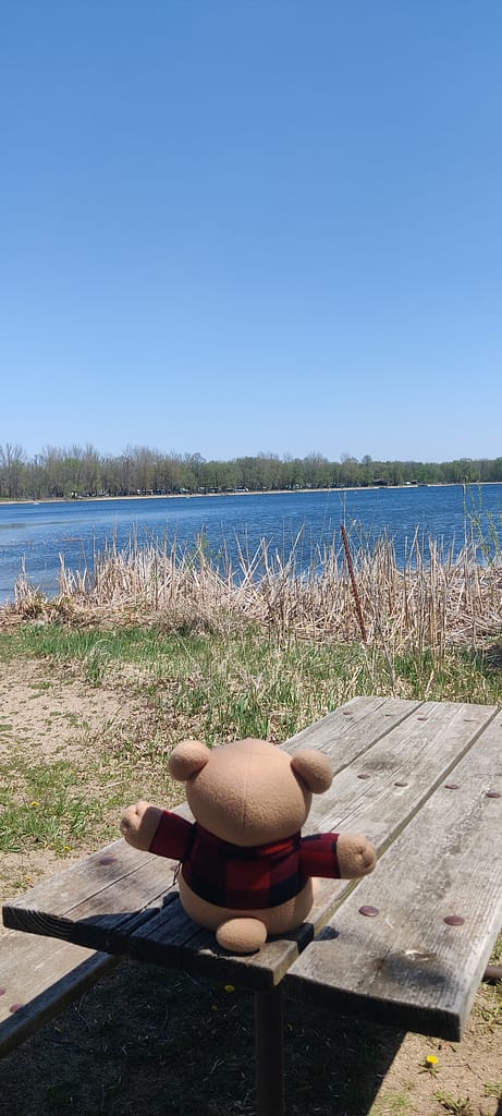 Cardibear sitting on the picnic table in the picnic area at Lake Carlos State Park in Carlos, MN