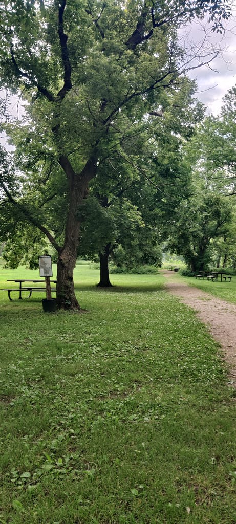Trailhead right off the parking lot at Flandrau State Park in New Ulm, MN.