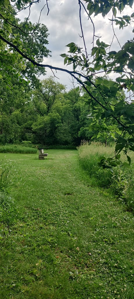 A bench on the trail at Flandrau State Park in New Ulm, MN.