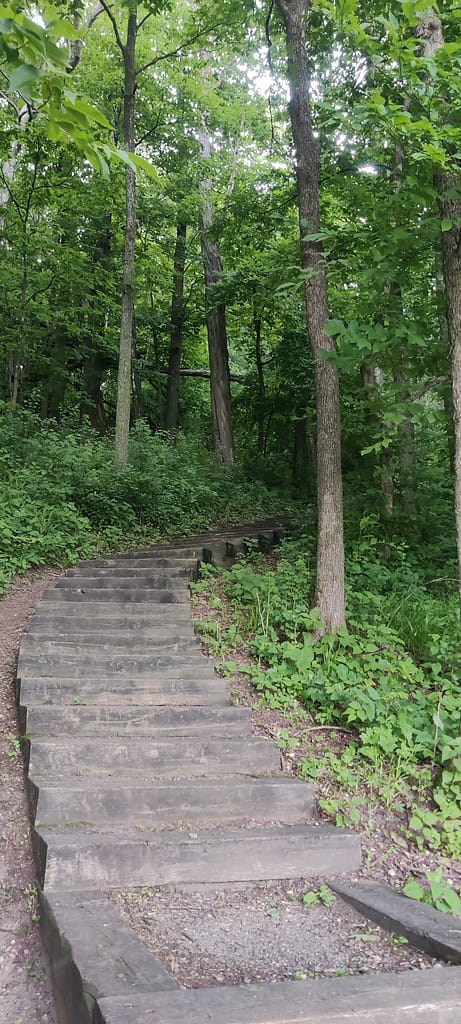 Steep stairs on the trail at Flandrau State Park in New Ulm, MN.