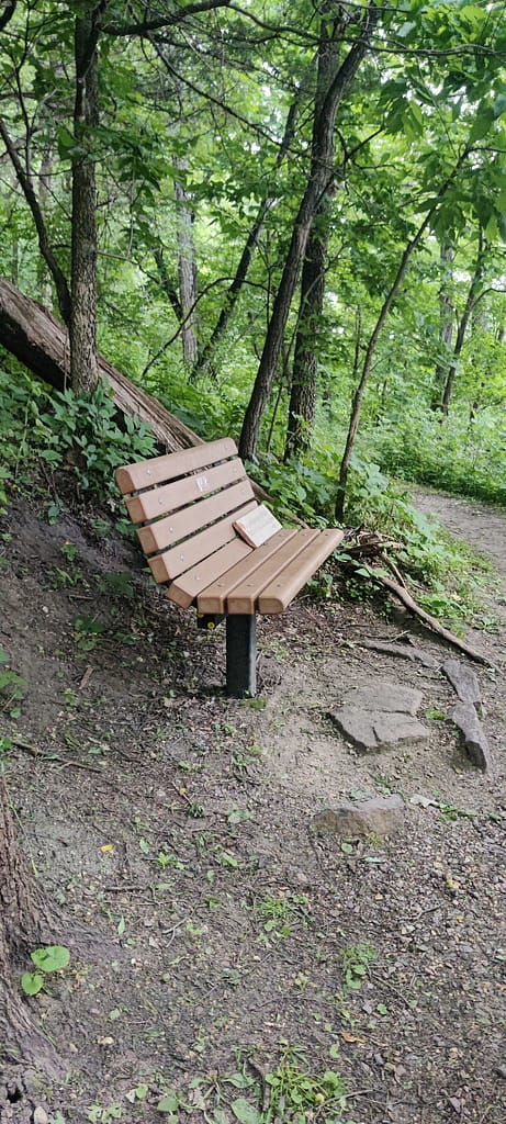 Bench at the top of the stairs at Flandrau State Park in New Ulm, MN.