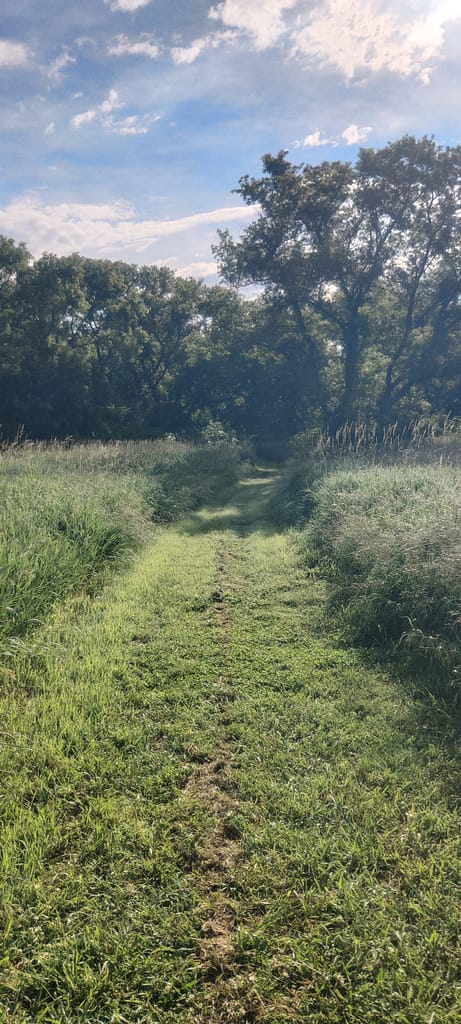 Prairie portion of the trail at Flandrau State Park in New Ulm, MN.