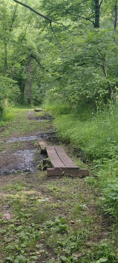 Foot bridges over the muddy areas of the trail at Flandrau State Park in New Ulm, MN.