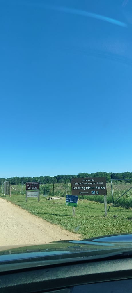 Sign that reads Bison Drive