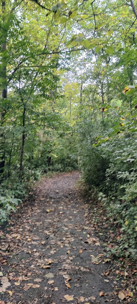 Muddy portion of the trail at Lake Louise State Park in LeRoy, MN.