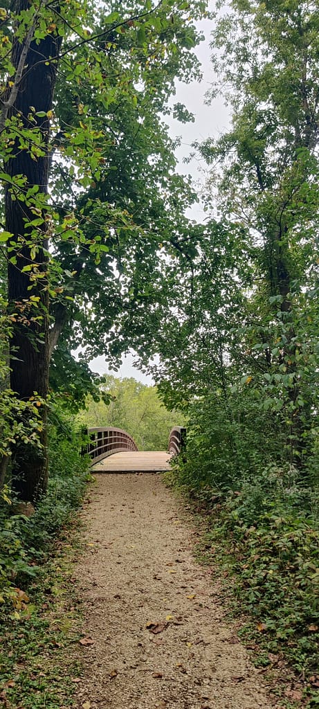 Bridge over the water on a fork in the trail at Lake Louise State Park in LeRoy, MN.