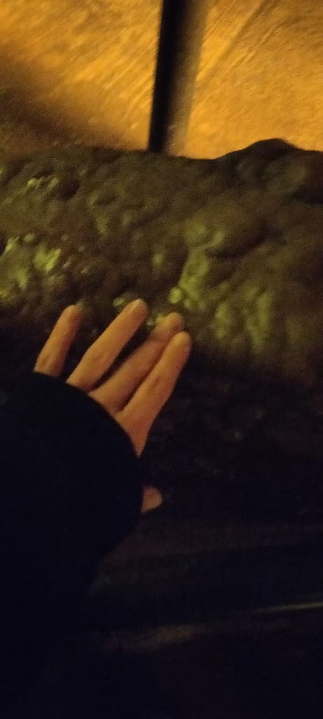 Seleana touching the only rock we're allowed to touch on the tour.