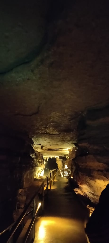 Path through Mystery Cave