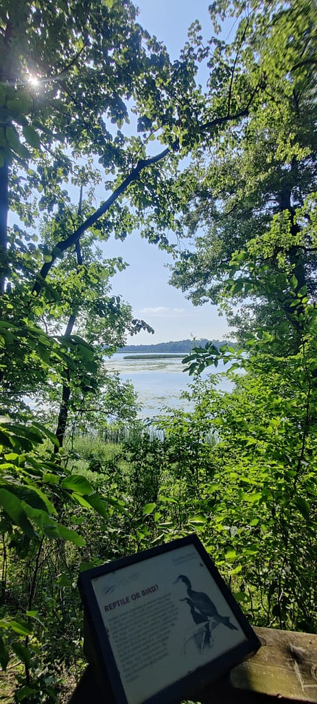 View from the outlook at Lake Maria State Park in Monticello, MN
