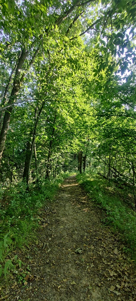 Dirt portion of the trail at Lake Maria State Park in Monticello, MN