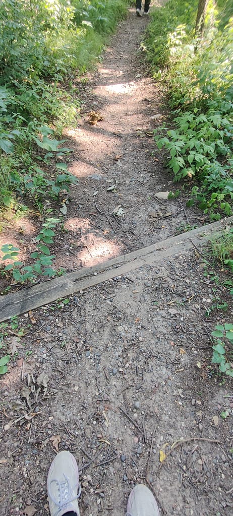 Large step on the trail at Lake Maria State Park in Monticello, MN