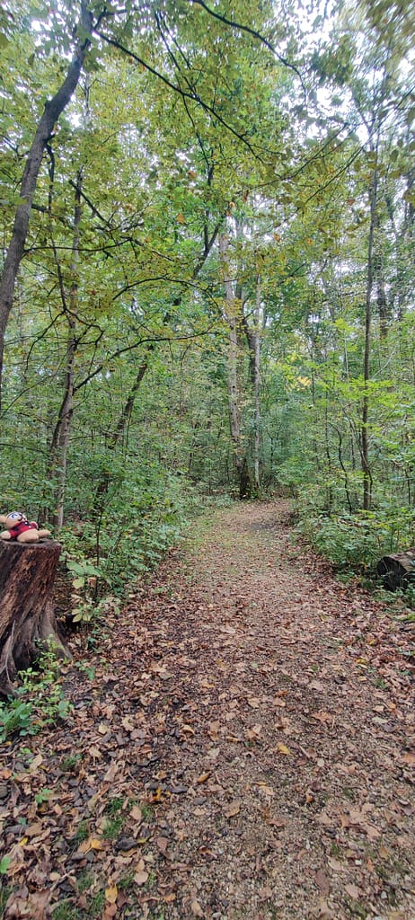 Cardibear chilling on the trail at Lake Louise State Park in LeRoy, MN.