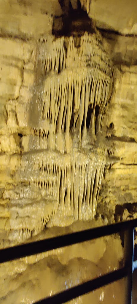 Formation in Mystery Cave
