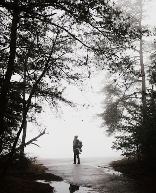 Free Person Standing on Pathway Stock Photo