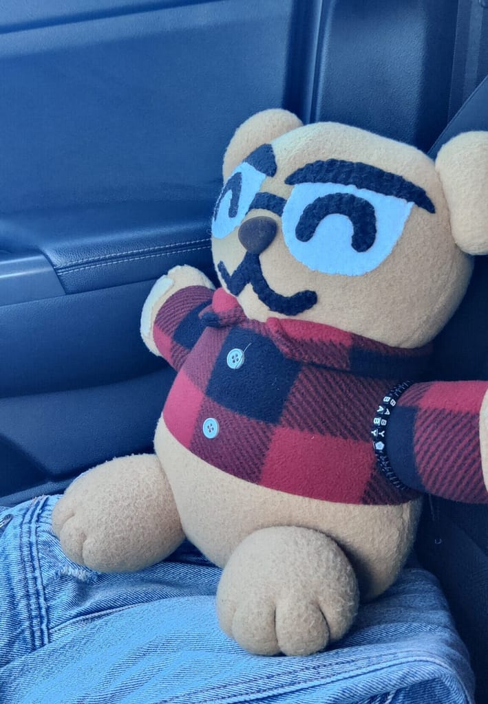 Cardibear sitting in the car