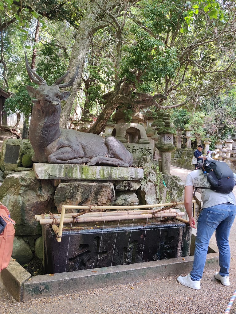 Wash area for purification at Kasuga Taisha Shrine in Nara Japan