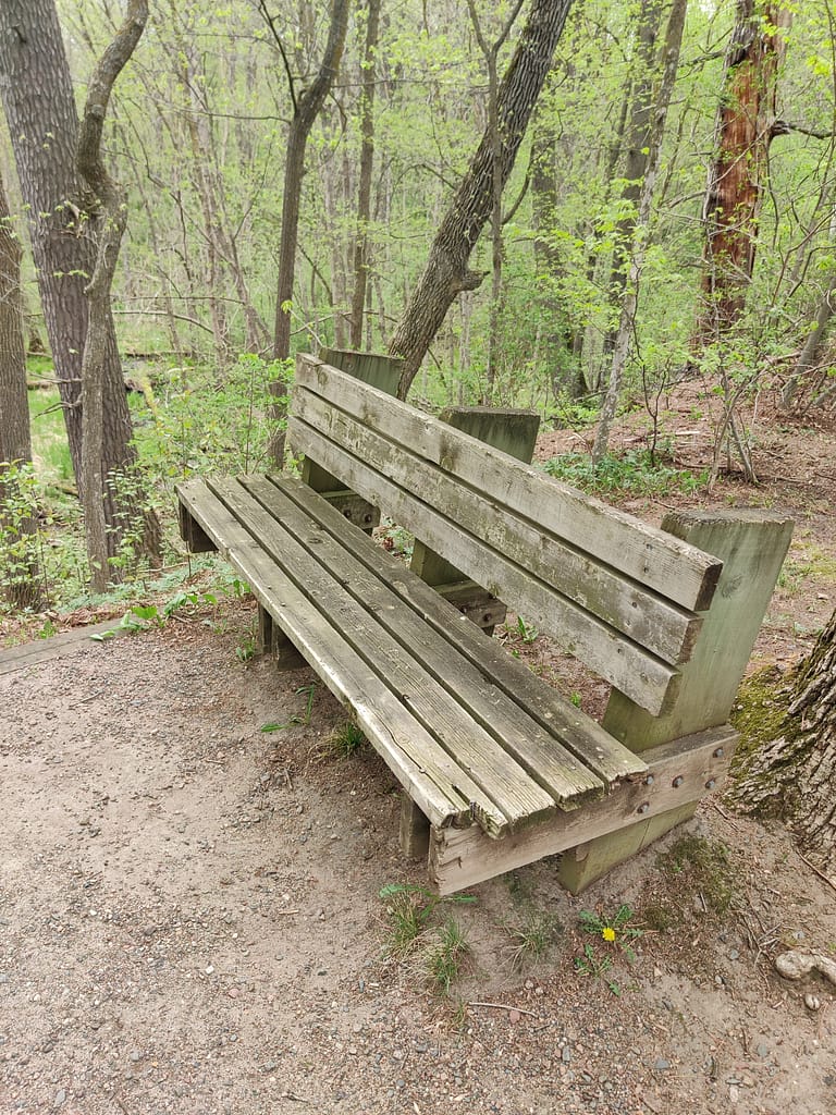 Bench at the top of the stairs leading down to the Lindbergh Hiking Trail Loop at Charles A. Lindbergh State Park in Little Falls, MN