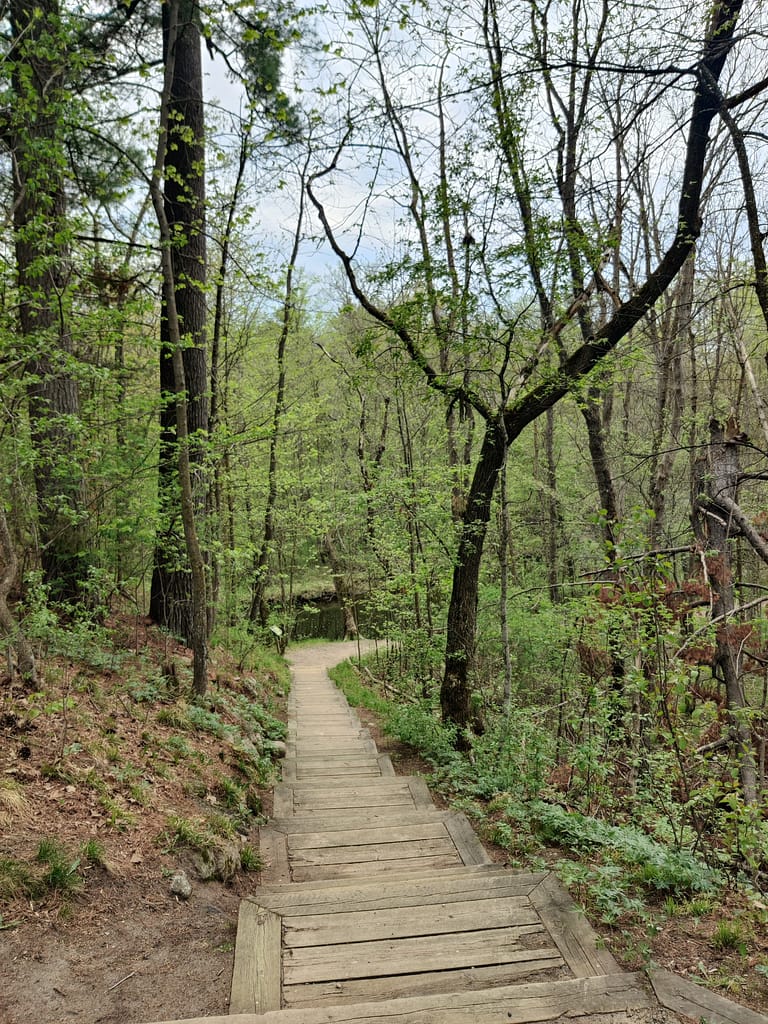 Stairs at the top of the trail at Charles A. Lindbergh State Park in Little Falls, MN