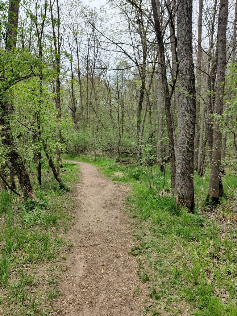 Dirt trail at Charles A. Lindbergh State Park in Little Falls, MN