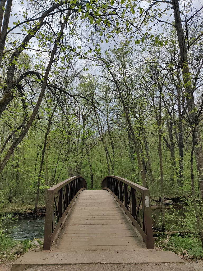 Bridge over the creek at Charles A. Lindbergh State Park in Little Falls, MN