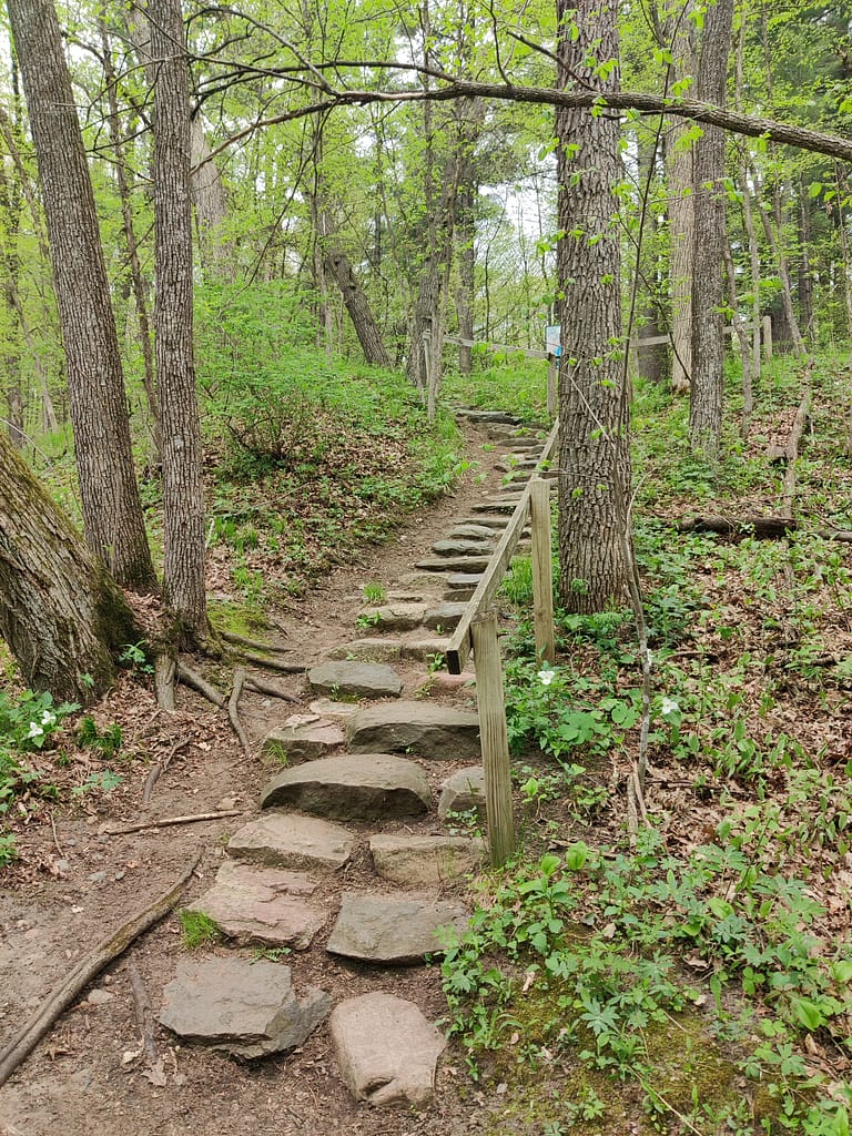 Stone steps and wobbly handrail on the trail at Charles A. Lindbergh State Park in Little Falls, MN
