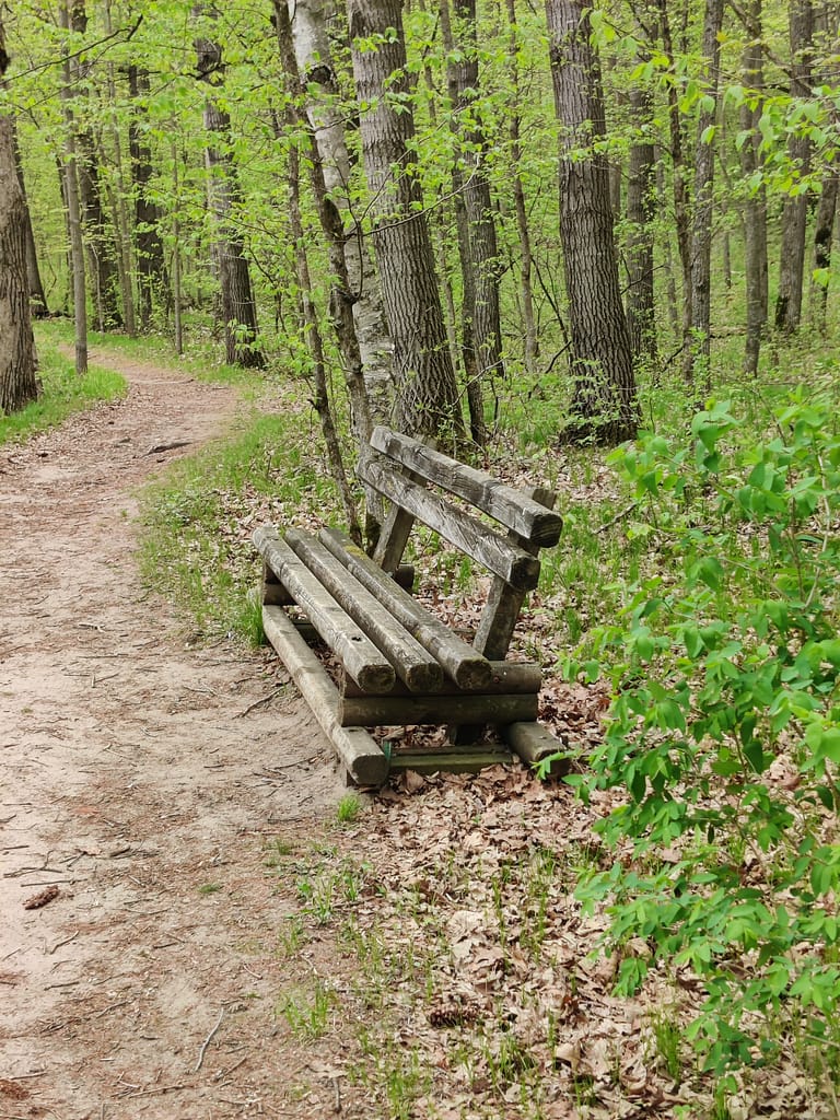 bench on the trail at Charles A. Lindbergh State Park in Little Falls, MN
