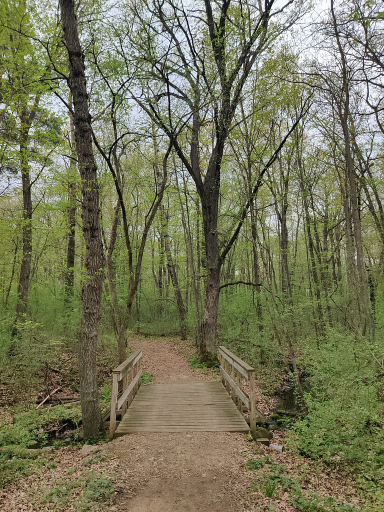 Footbridge on the trail at Charles A. Lindbergh State Park in Little Falls, MN
