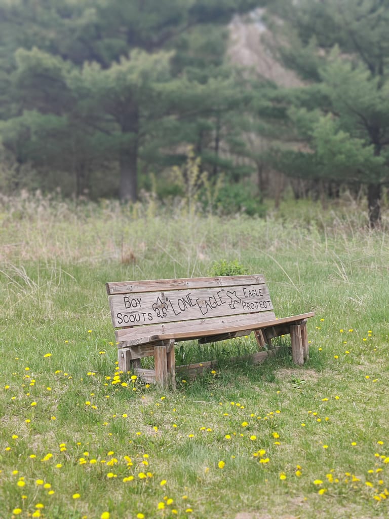 Bench in the meadow area at Charles A. Lindbergh State Park in Little Falls, MN