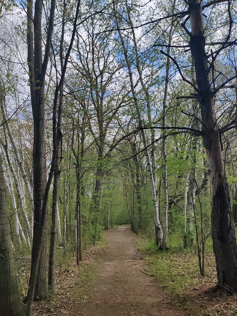 Dirt trail at Charles A. Lindbergh State Park in Little Falls, MN