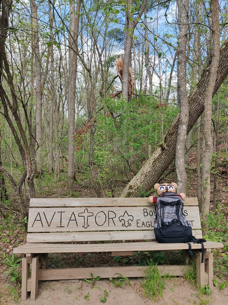 Bench on the trail at Charles A. Lindbergh State Park in Little Falls, MN
