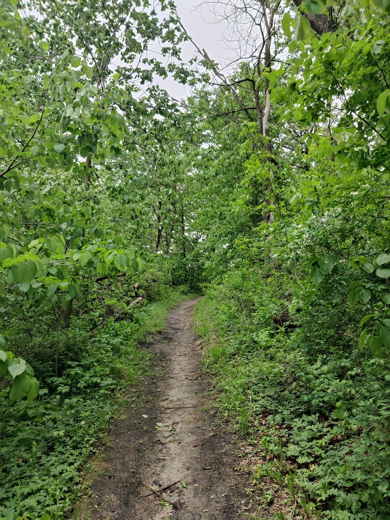High Peak Trail at Glacial Lakes State Park in Starbuck, MN