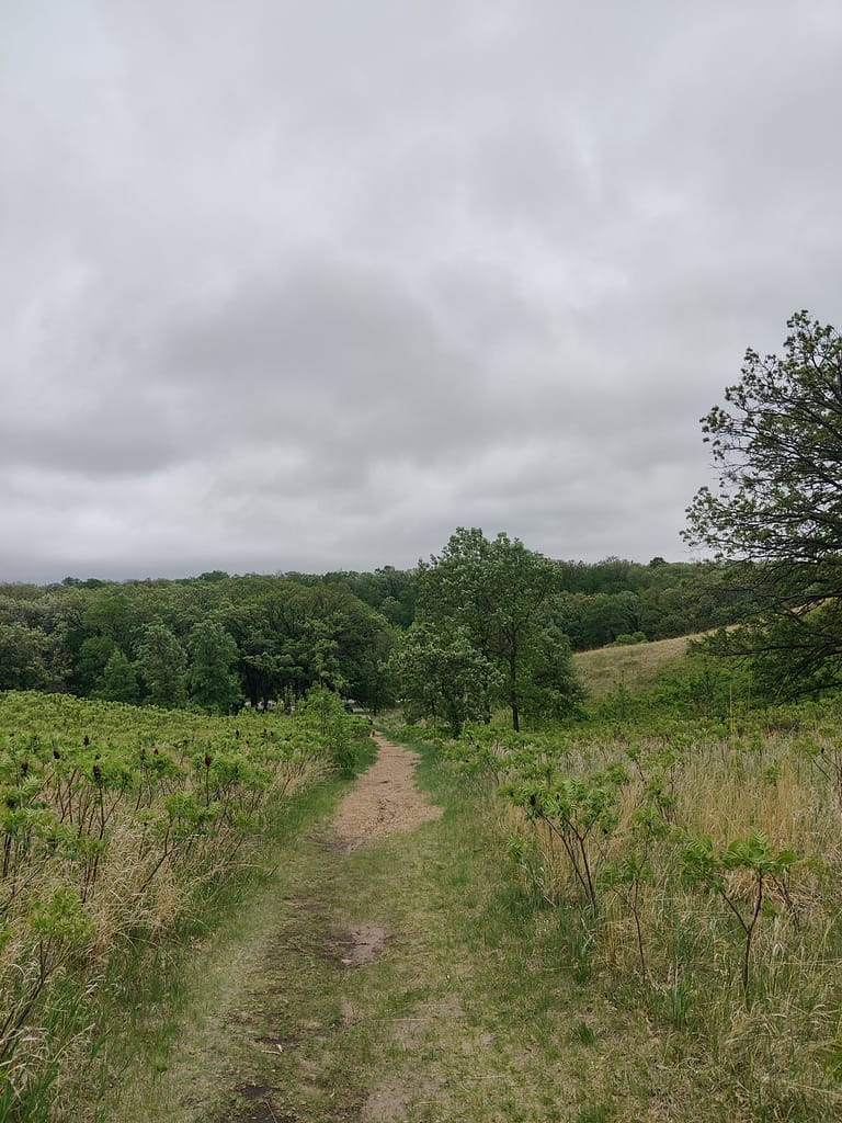 Prairie portion of the High Peak Trail at Glacial Lakes State Park in Starbuck, MN