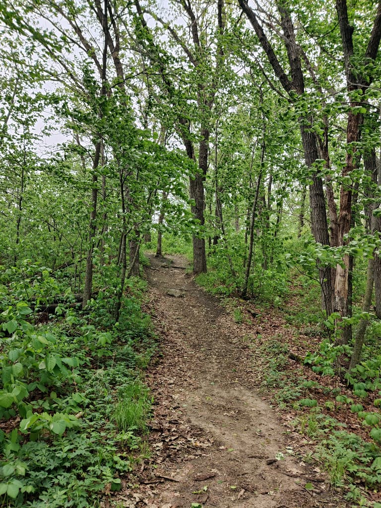 Incline on a wooden portion of the High Peak Trail at Glacial Lakes State Park in Starbuck, MN
