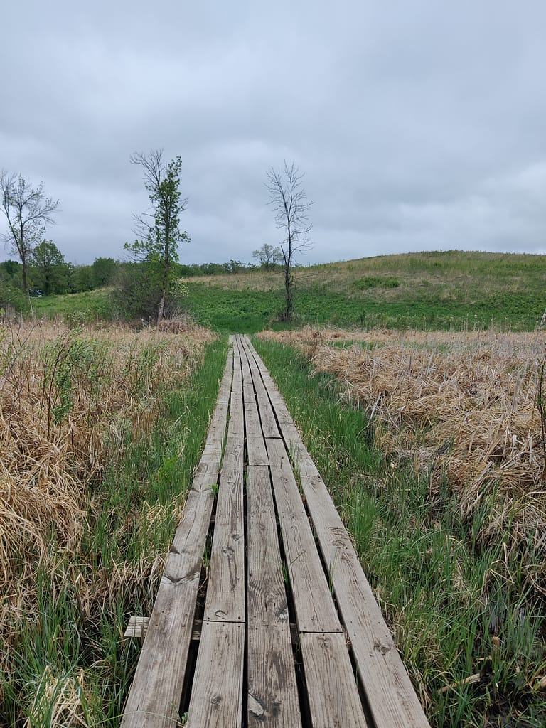 Boardwalk through the prairie portion of the High Peak Trail at Glacial Lakes State Park in Starbuck, MN