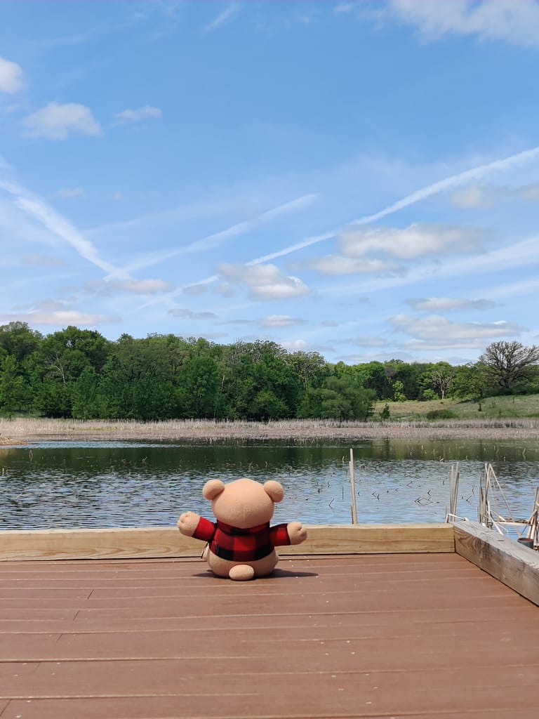 Cardybear enjoying the pond on the Pondview Trail at Sibley State Park in New London, MN