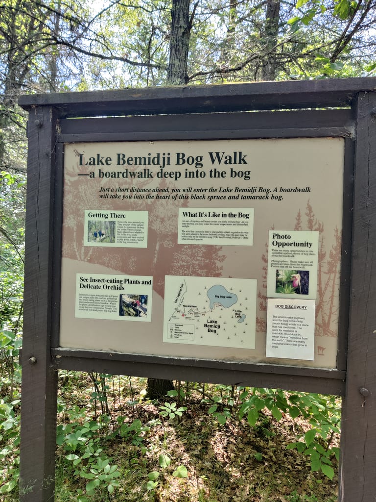Informational sign on the Bog Walk Trail at Lake Bemidji State Park in Bemidji, MN