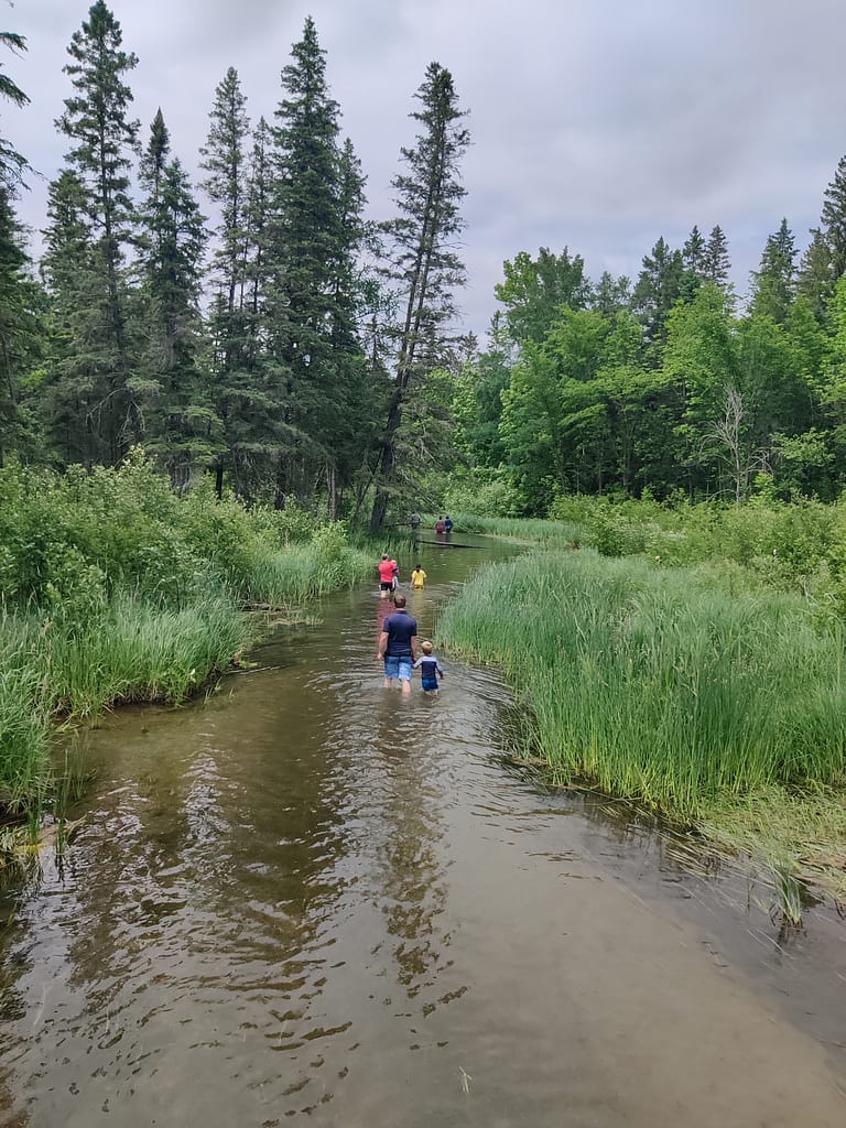 People walking in the river on the Mississippi Headwaters Trail at Itasca State Park in Park Rapids, MN
