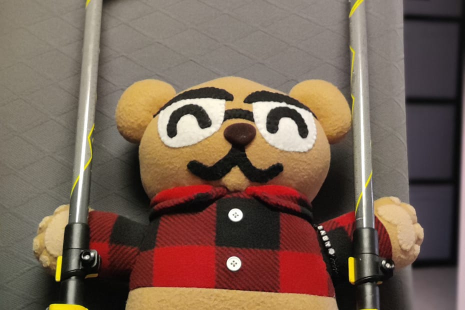 Cardybear holding the trekking poles