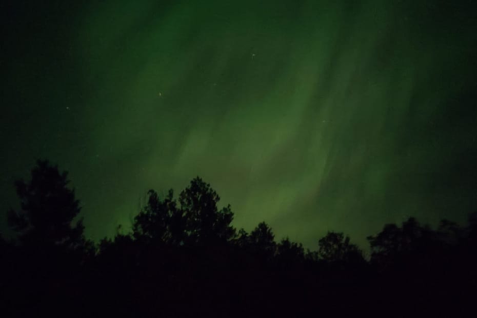Green aurora borealis over trees